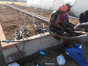Ngqabutho teaches how to plumb drip irrigation