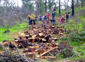 Wood Chop Weekend