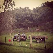 Anzac Day Work Party