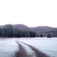 A frosty front paddock!