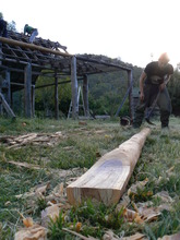 Shaping verandah beams with an adze