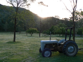 'Wozza' the tractor
