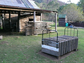 Kitchen garden bed