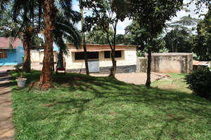 Compound