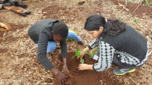 Planting in action!