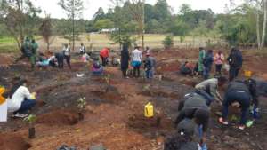 Tree planting session!