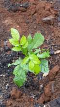 A closer look at new life...