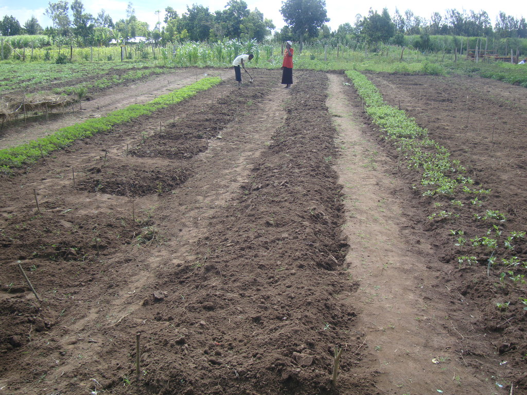 ensure food to 500 vulnerable families in Bumula.