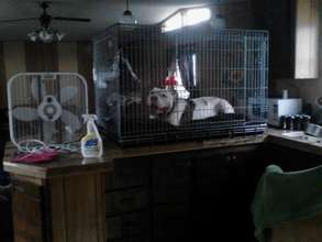 Tia's flooded house