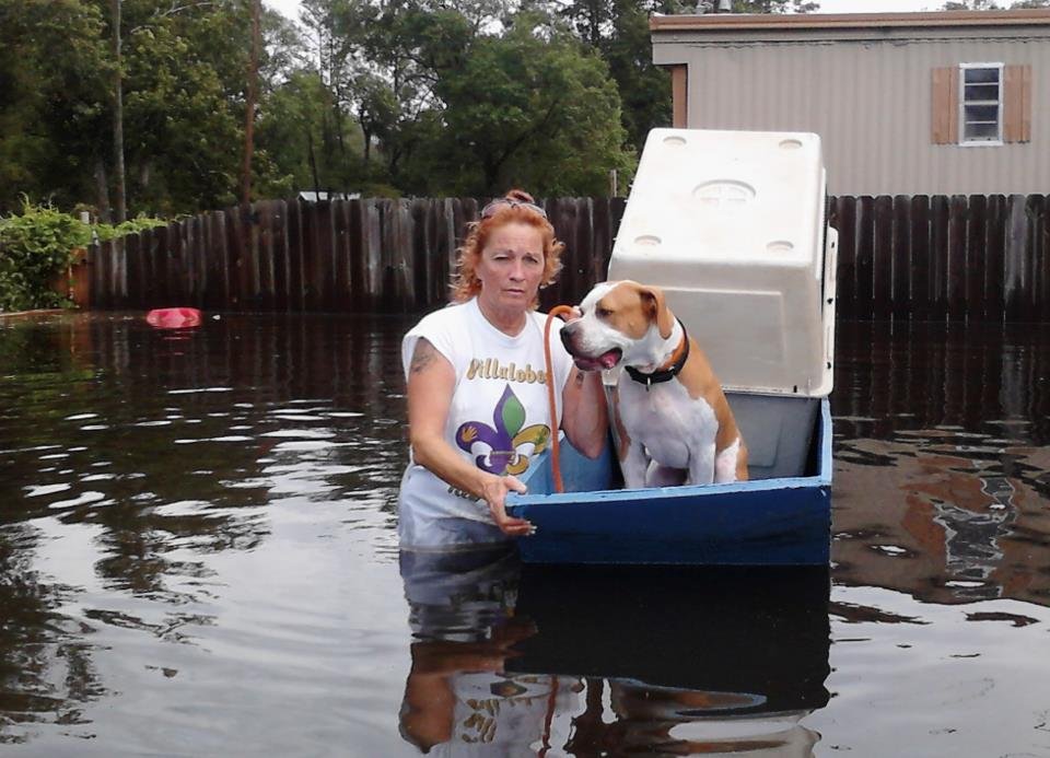 Villalobos Rescue Center Hurricane Disaster Relief