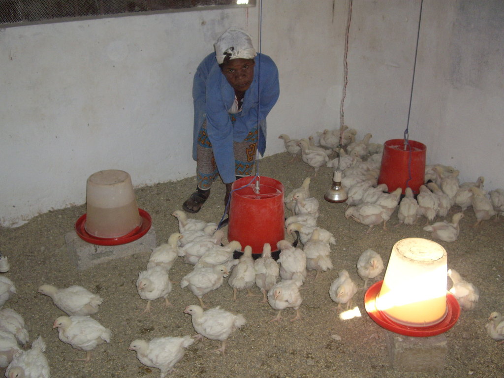 Zambia: Support for Schooling of HIV/AIDS Orphans