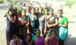 Holi Festival Celebration