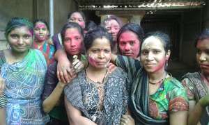 Holi Festival Celebration