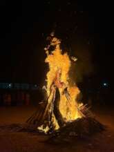 Holi Festival Celebration