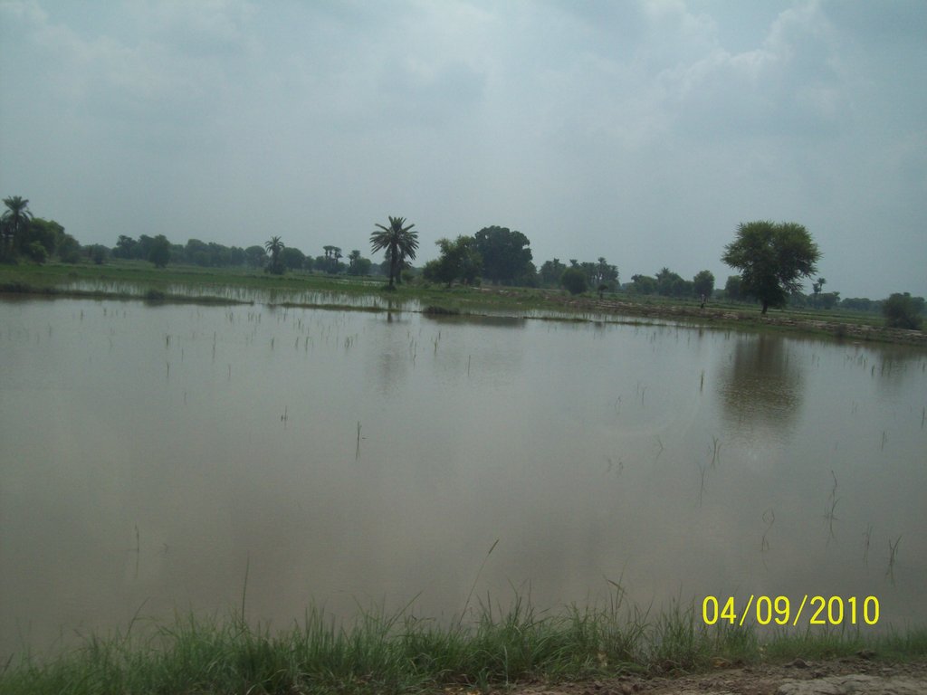 flood victims awareness and self preparedness