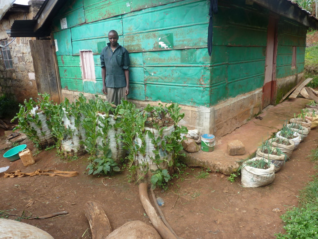 Training 1000 farmers in Kagwe, Kenya