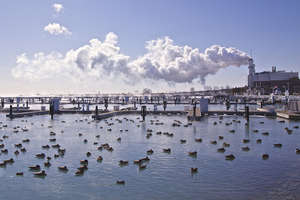 Smokestacks, Lake MI (CC courtesy Cindy Snider Re)