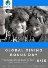 Promote a sustainable society by giving to EESI!