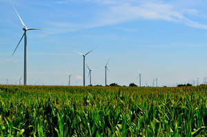 Illinois Wind Farm (CC courtesy Tom)