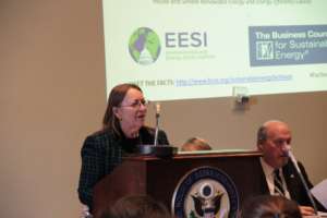 Director Carol Werner speaks at the briefing