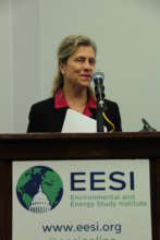 EESI's Ellen Vaughan opens the briefing