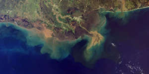 NOAA's National Ocean Service Photo.