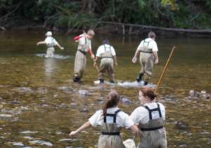 Students wade in River. Credit: Gary Peeples/USFWS