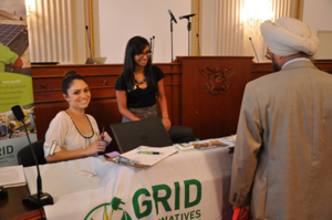 Discovering Grid Alternatives
