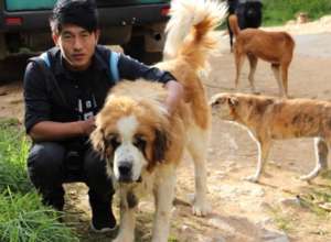 A participant at the animal centre during shooting