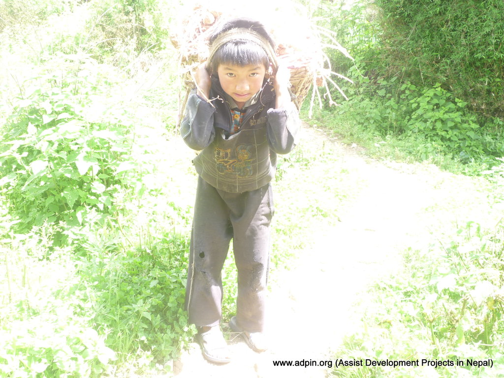 PROVIDE NUTRITION TO ORPHANS IN NEPAL