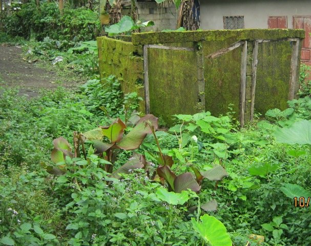 HELP ESTABLISH COMMUNITY PRESCHOOLS IN CAMEROON