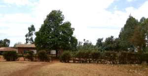 Too dry to plant