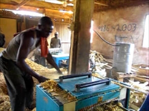 Fofana's employees at work