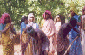 Restore Land to Tribal Women in India
