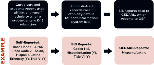 Data collection graphic