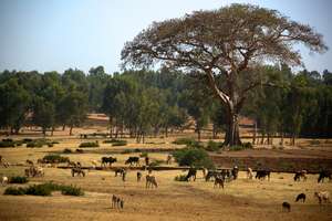 Ethiopia - a country full of hope