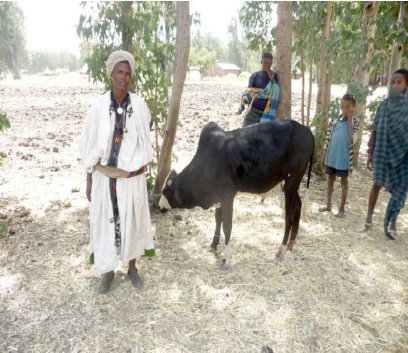 You've helped rice farmers like Fenta succeed!
