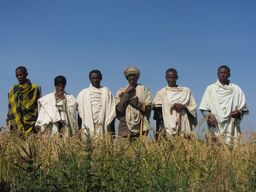 Addis Alem VSLA