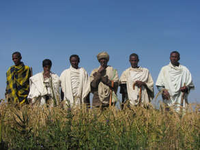 Addis Alem VSLA
