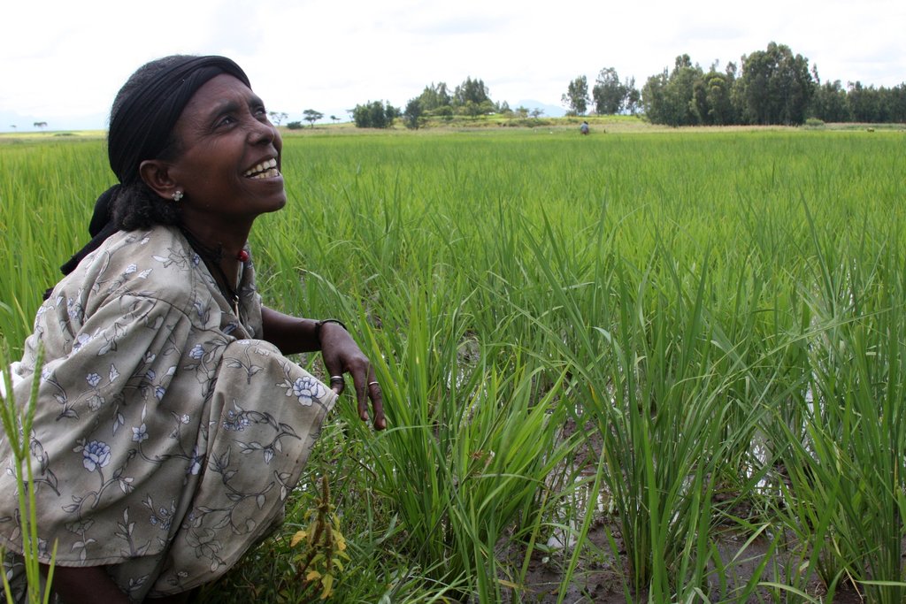 Sparking growth for 10K Ethiopian farmers, weavers