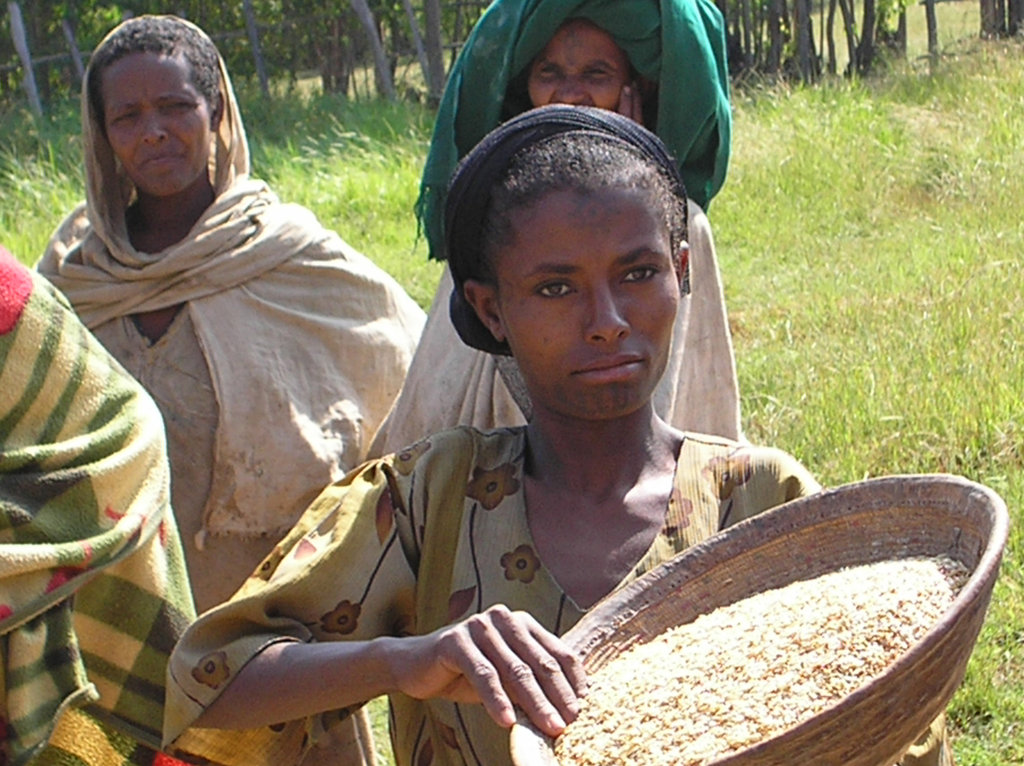 Sparking growth for 10K Ethiopian farmers, weavers