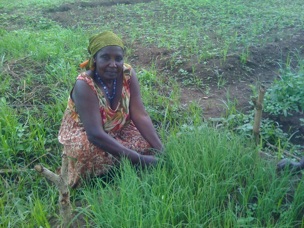 Push me Once Piglet for 200 women In Gulu