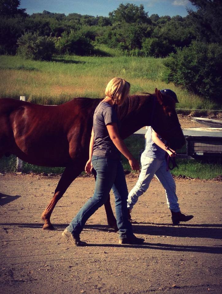 Humans and Horses Working Together!