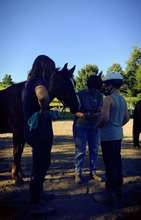 Feeding grass to a Dusty after a great session