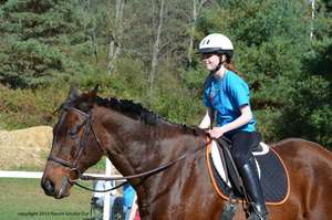 Horse show