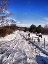 Goodbye Winter!