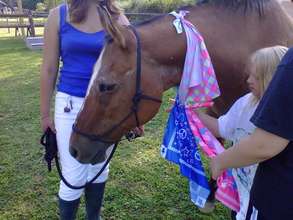 Equine Facilitated Learning - Teamwork!