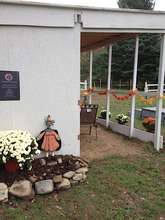 Our wonderful outdoor classroom!