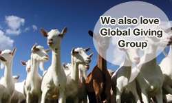 goats love global giving.