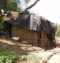 Shack that Lily and her 4 children used to live in